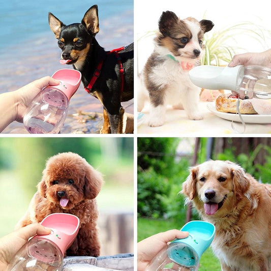 Portable Pet Water Bottle - Vibeknects