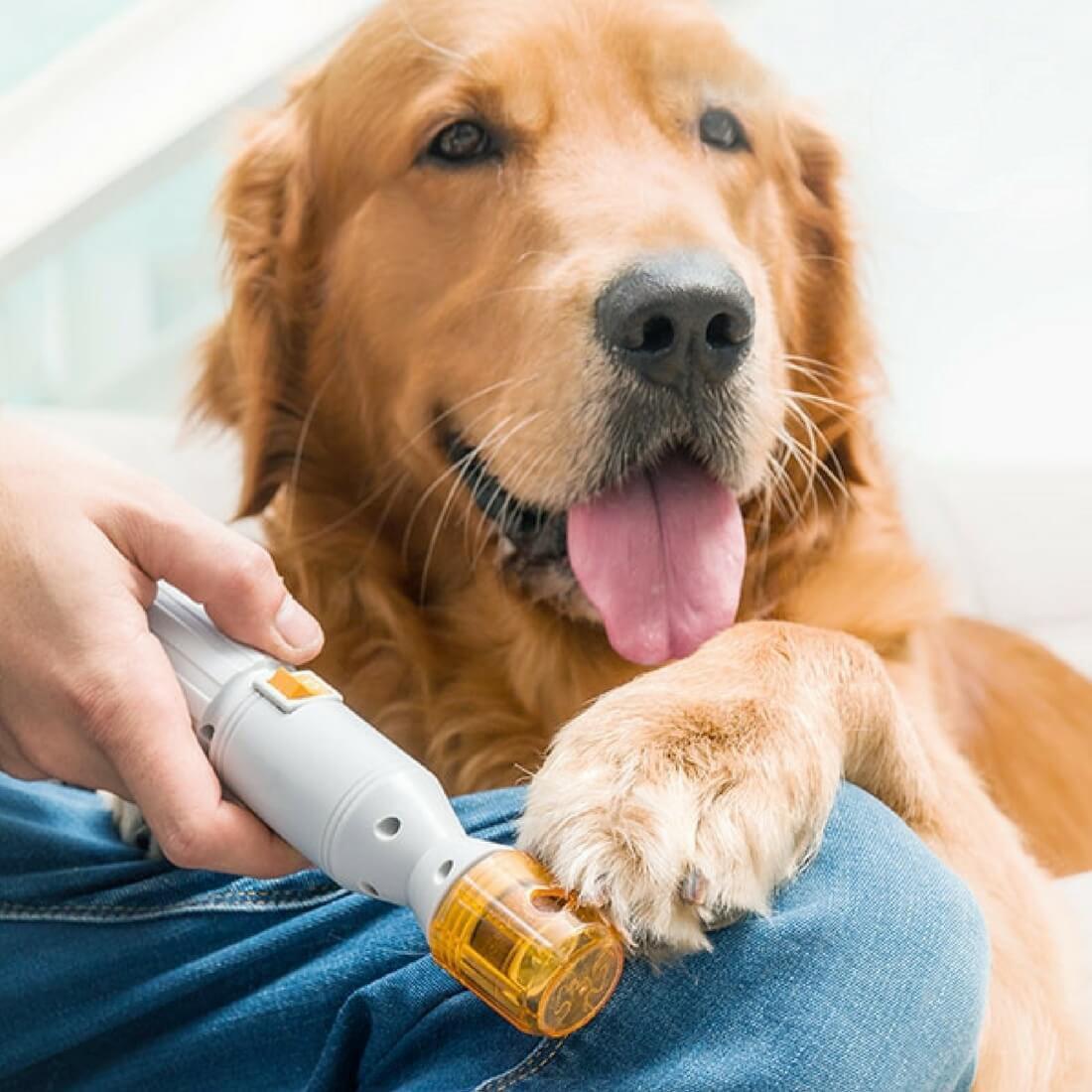 Painless Nail Clipper for Pets - Vibeknects